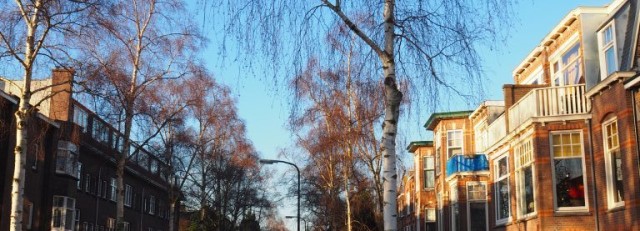 Straat kerk bomen.JPG